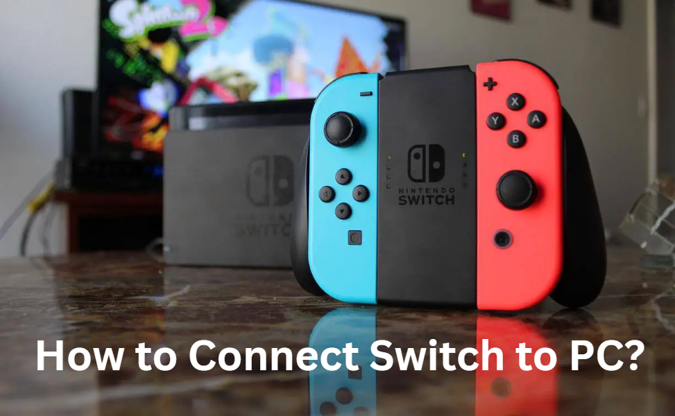 How to Connect Switch to PC